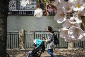 Cleaner Air, Smarter Toddlers